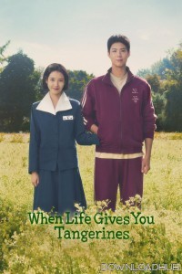 When Life Gives You Tangerines (2025) Season 1 EP01 To E04 Hindi Dubbed Web Series